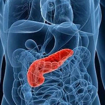 _0001_pancreas _0001_pancreas