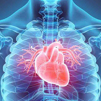 _0004_cardiologia _0004_cardiologia